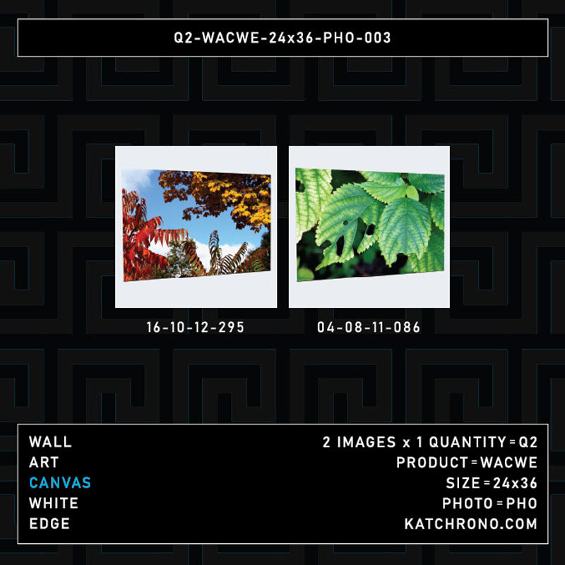 Q2-WACWE-24x36-PHO-003
