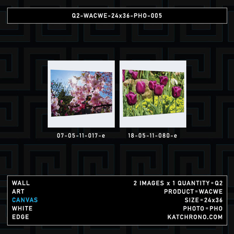 Q2-WACWE-24x36-PHO-005
