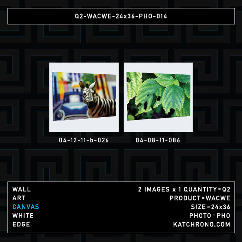 Q2-WACWE-24x36-PHO-014
