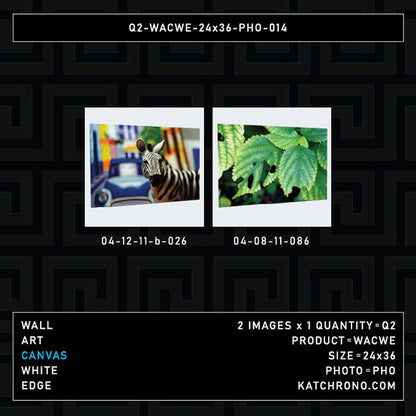 Q2-WACWE-24x36-PHO-014