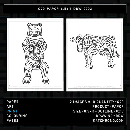Q20-PAPCP-8.5x11-DRW-0002