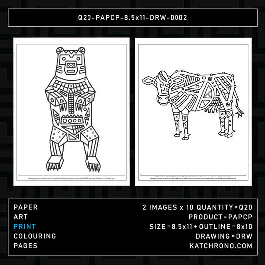 Q20-PAPCP-8.5x11-DRW-0002
