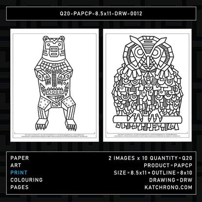 Q20-PAPCP-8.5x11-DRW-0012
