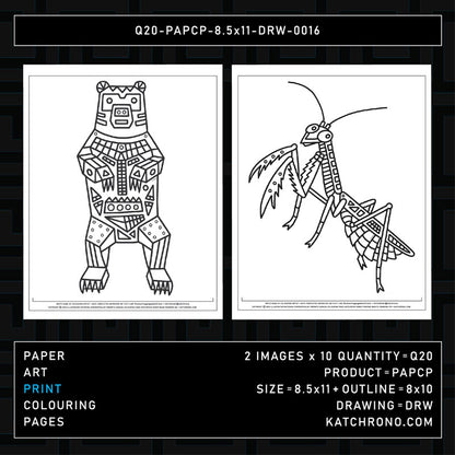 Q20-PAPCP-8.5x11-DRW-0016