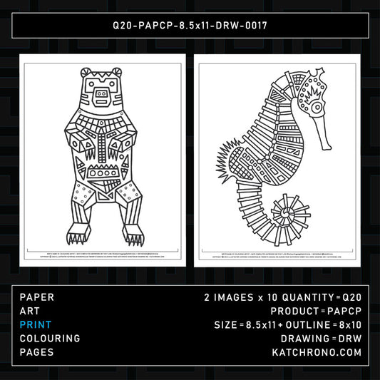 Q20-PAPCP-8.5x11-DRW-0017