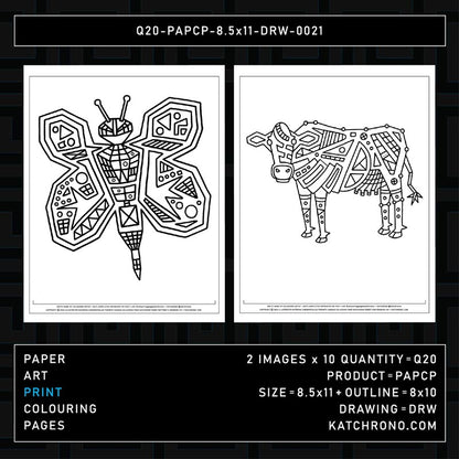 Q20-PAPCP-8.5x11-DRW-0021