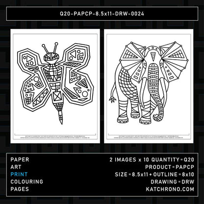 Q20-PAPCP-8.5x11-DRW-0024