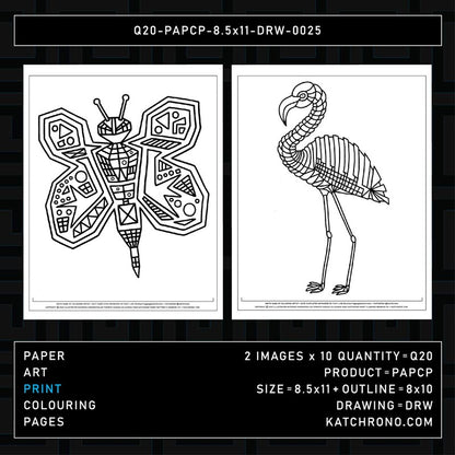 Q20-PAPCP-8.5x11-DRW-0025