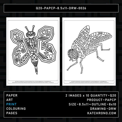 Q20-PAPCP-8.5x11-DRW-0026
