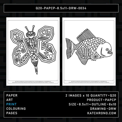 Q20-PAPCP-8.5x11-DRW-0034