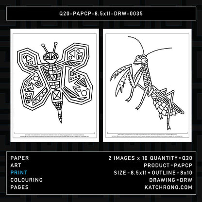 Q20-PAPCP-8.5x11-DRW-0035