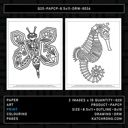 Q20-PAPCP-8.5x11-DRW-0036