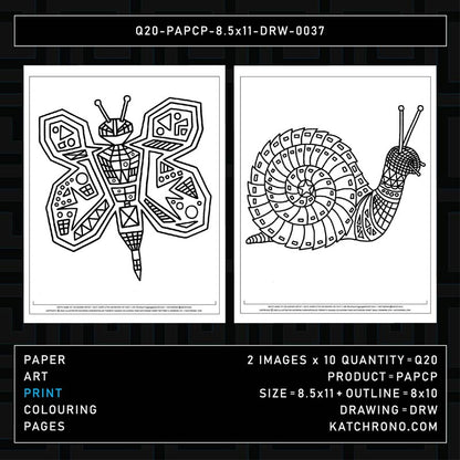 Q20-PAPCP-8.5x11-DRW-0037