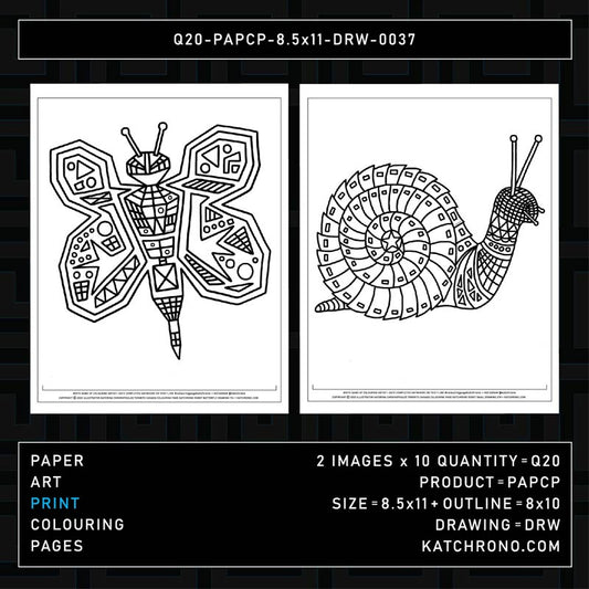 Q20-PAPCP-8.5x11-DRW-0037