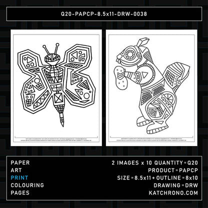 Q20-PAPCP-8.5x11-DRW-0038