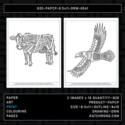 Q20-PAPCP-8.5x11-DRW-0041