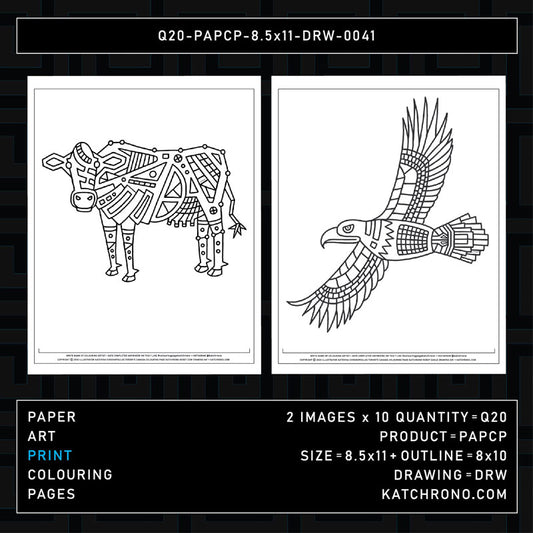 Q20-PAPCP-8.5x11-DRW-0041
