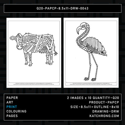 Q20-PAPCP-8.5x11-DRW-0043