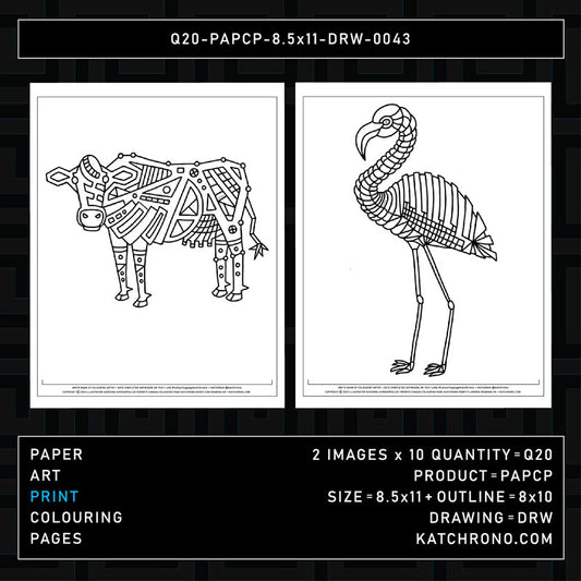 Q20-PAPCP-8.5x11-DRW-0043