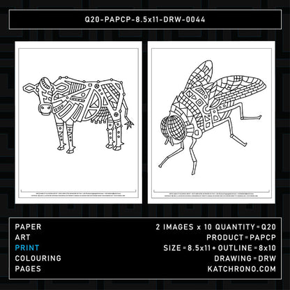 Q20-PAPCP-8.5x11-DRW-0044