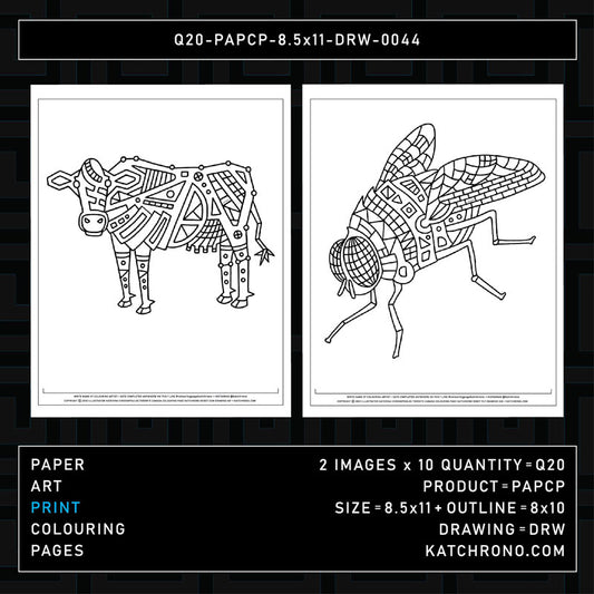 Q20-PAPCP-8.5x11-DRW-0044