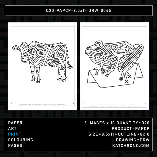 Q20-PAPCP-8.5x11-DRW-0045