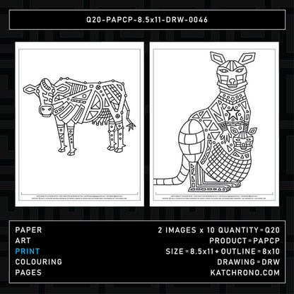 Q20-PAPCP-8.5x11-DRW-0046