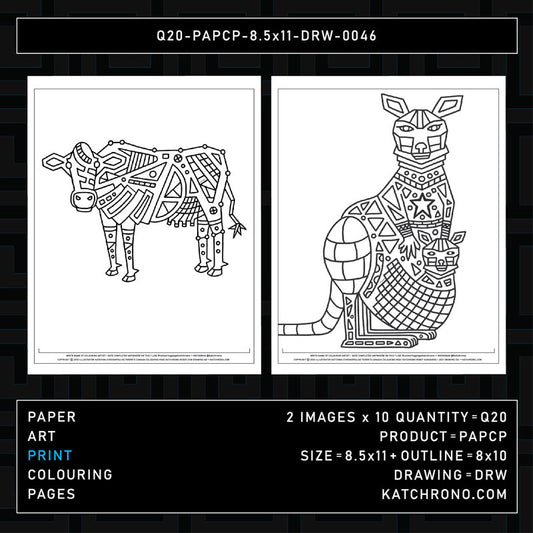 Q20-PAPCP-8.5x11-DRW-0046