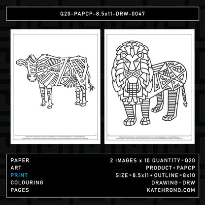 Q20-PAPCP-8.5x11-DRW-0047