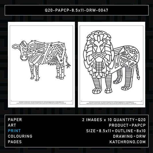Q20-PAPCP-8.5x11-DRW-0047