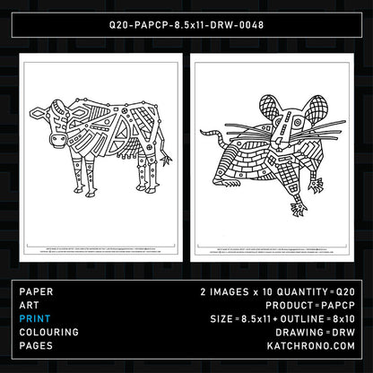 Q20-PAPCP-8.5x11-DRW-0048