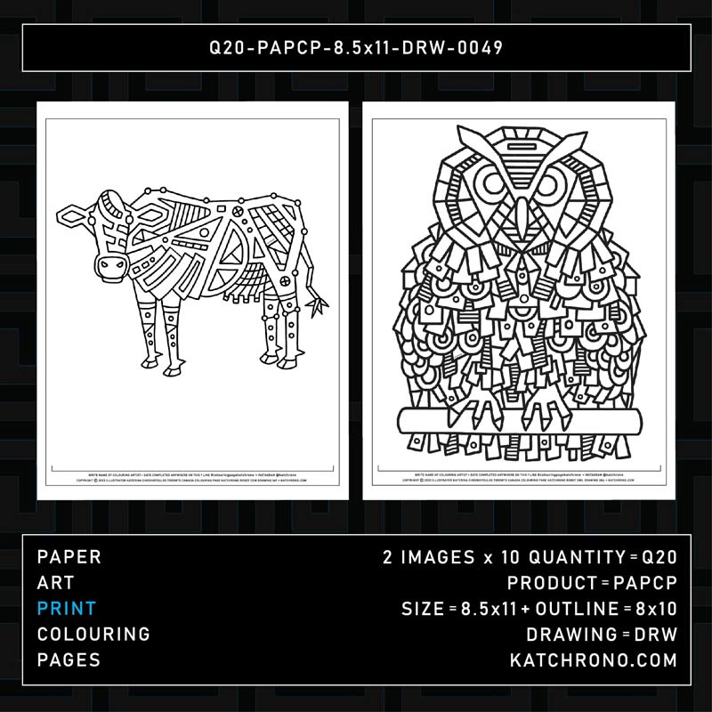 Q20-PAPCP-8.5x11-DRW-0049
