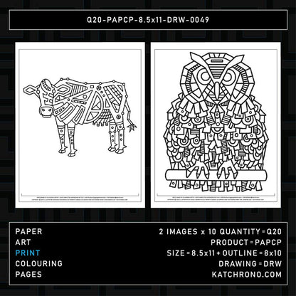 Q20-PAPCP-8.5x11-DRW-0049