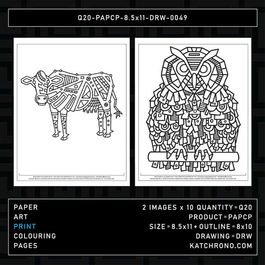 Q20-PAPCP-8.5x11-DRW-0049