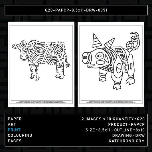 Q20-PAPCP-8.5x11-DRW-0051