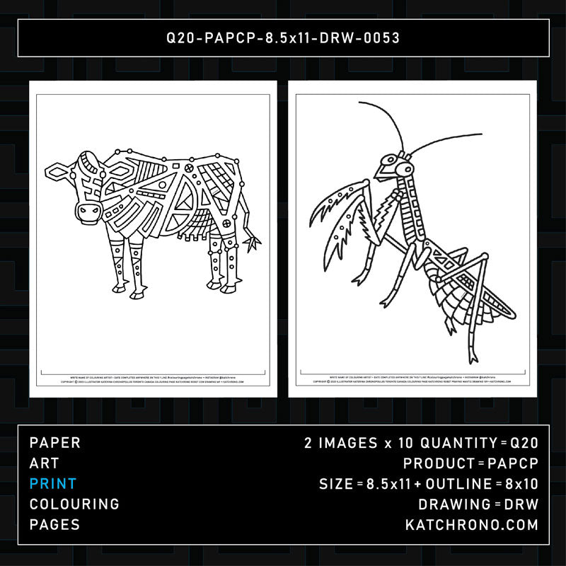 Q20-PAPCP-8.5x11-DRW-0053