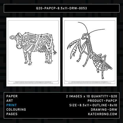 Q20-PAPCP-8.5x11-DRW-0053