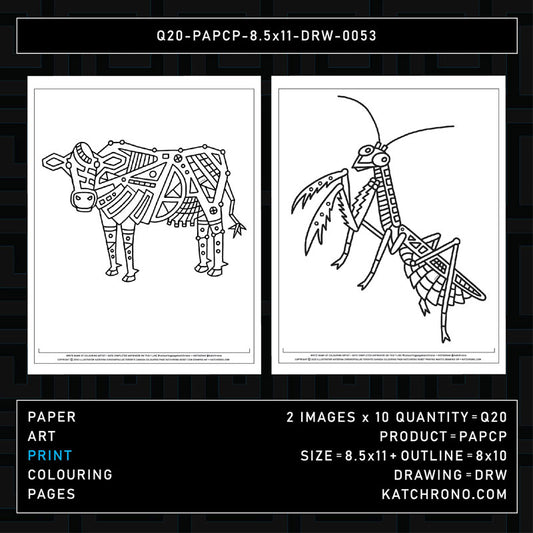 Q20-PAPCP-8.5x11-DRW-0053