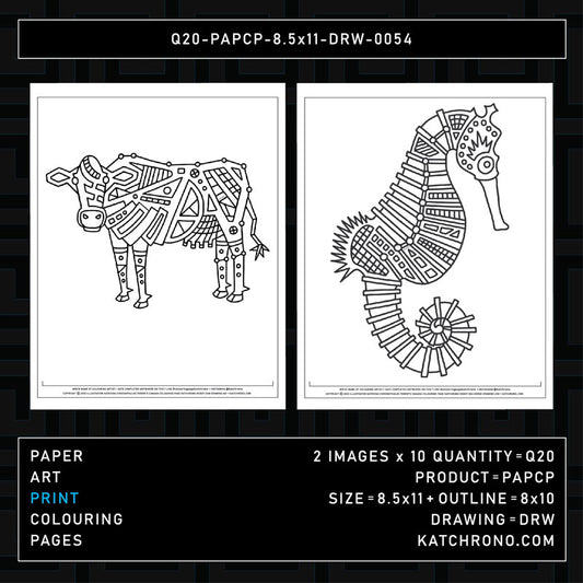Q20-PAPCP-8.5x11-DRW-0054