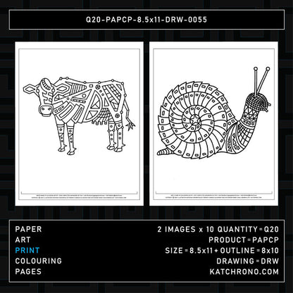Q20-PAPCP-8.5x11-DRW-0055