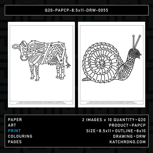 Q20-PAPCP-8.5x11-DRW-0055
