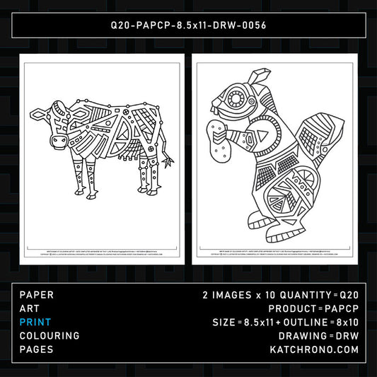 Q20-PAPCP-8.5x11-DRW-0056
