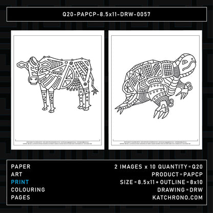 Q20-PAPCP-8.5x11-DRW-0057