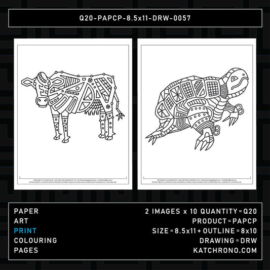 Q20-PAPCP-8.5x11-DRW-0057