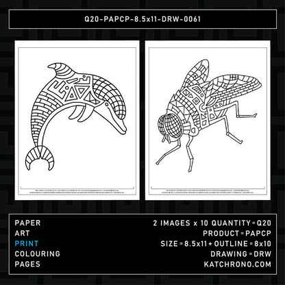 Q20-PAPCP-8.5x11-DRW-0061