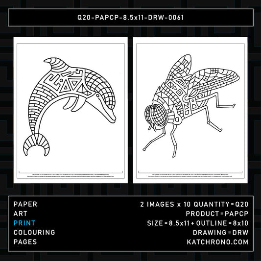 Q20-PAPCP-8.5x11-DRW-0061