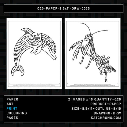 Q20-PAPCP-8.5x11-DRW-0070