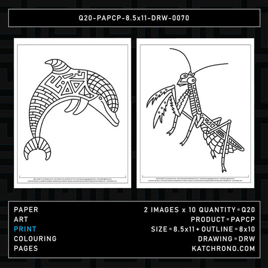 Q20-PAPCP-8.5x11-DRW-0070