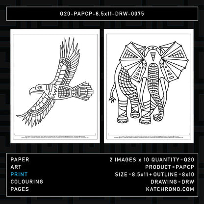 Q20-PAPCP-8.5x11-DRW-0075