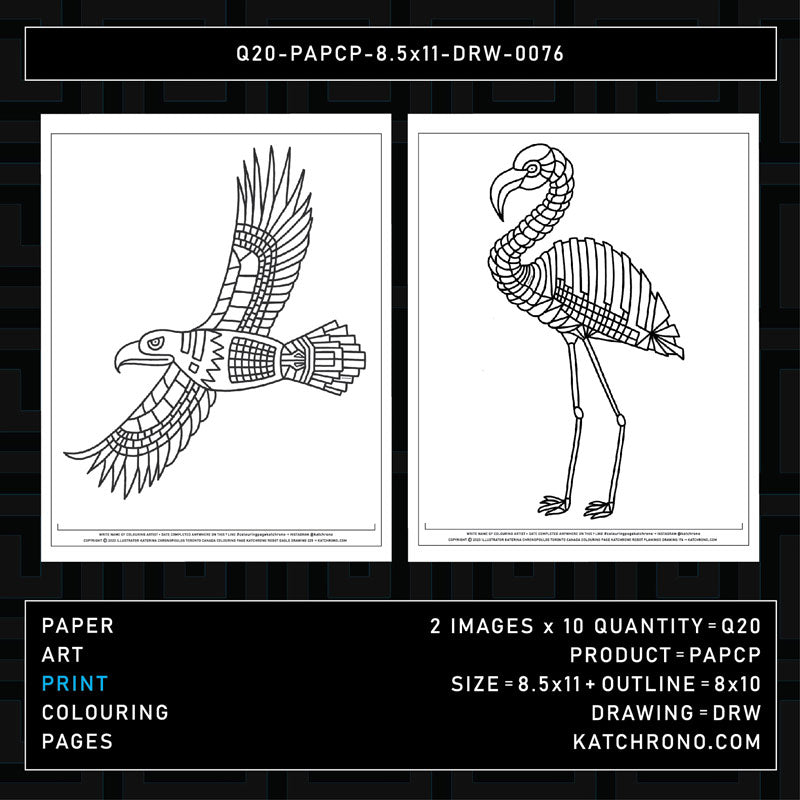 Q20-PAPCP-8.5x11-DRW-0076